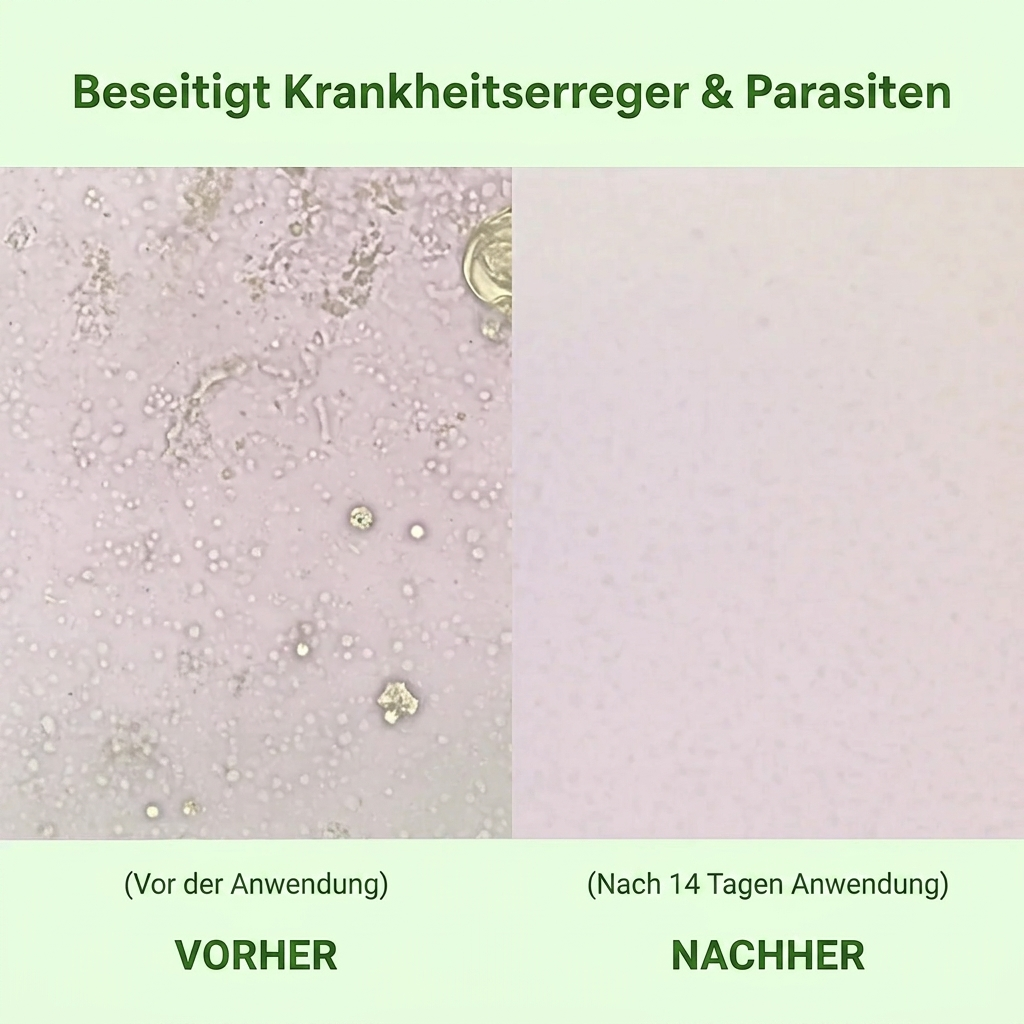 Origamix - Der Energie- und Gesundheits-Booster