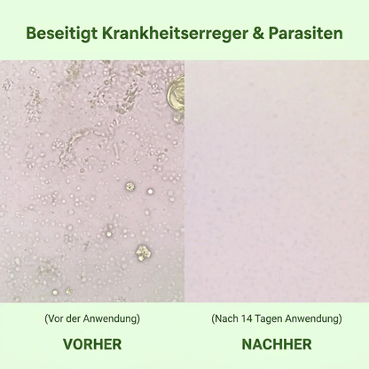 Origamix - Der Energie- und Gesundheits-Booster