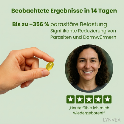 Origamix - Der Energie- und Gesundheits-Booster