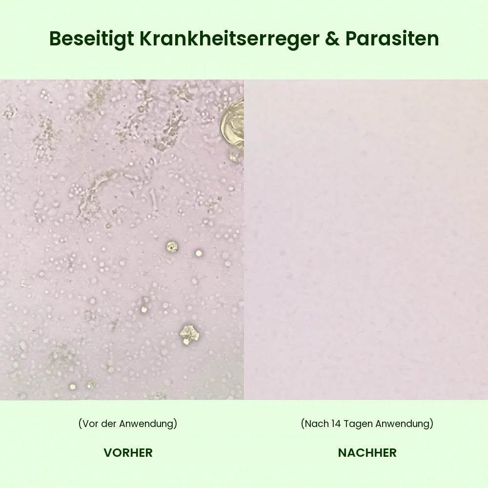 Beseitigt Krankheitserreger & Parasiten – vorher / nachher 14 Tage