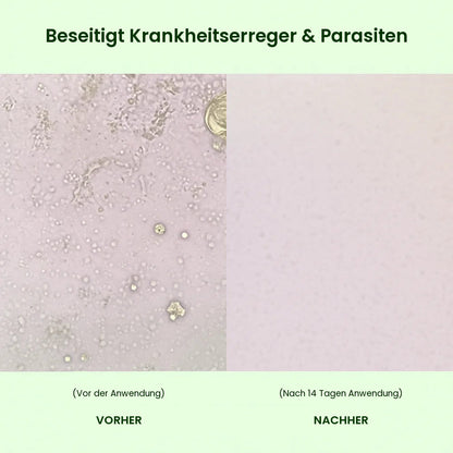 Beseitigt Krankheitserreger & Parasiten – vorher / nachher 14 Tage